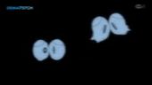 Doraemon Episode 217