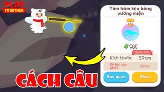 Tiết Lộ Bí Mật Vị Trí Săn "Tôm Hùm kẹo Bông VM" Thành Công 100% | Play Together