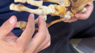 There aren't many men as devoted as me anymore!