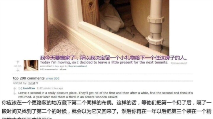 After moving, I discovered the Ragdoll had somehow ended up in the suitcase!