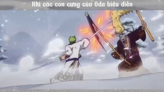 Khi các con cưng của Oda biểu diễn #anime #onepiece