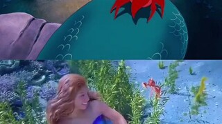 ariel mermaid