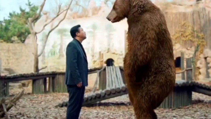 The boss thought the animal was a person in disguise, but it turned out to be a real bear—and now he