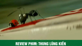 review phim Thung lũng kiến tập 3 #reviewphimhay #reviewhay
