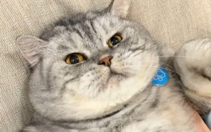 Here’s the tofu version of the hell-level trust challenge you’ve been asking for!