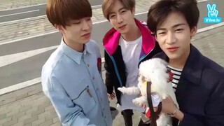 up to walk got7 live 17032016