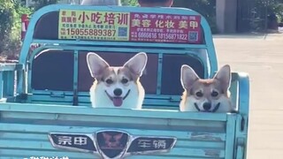 แค่ผ่านหน้าจอก็สัมผัสได้ถึงความสุขของพวกเขา!