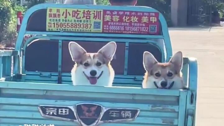 Ngay cả qua màn hình cũng có thể cảm nhận được niềm vui của họ!