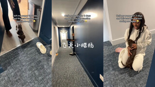 当我三天没见到我的小腊肠时🤣