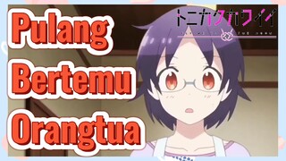 Pulang Bertemu Orangtua