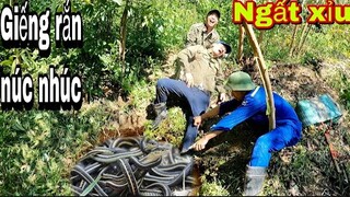 Phương QN Kinh Hoàng Rơi Xuống Giếng Rắn Bơi Núc Nhúc | Đại 87