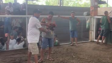 ito namn Texas amin tagalog kalaban pero subrang laki