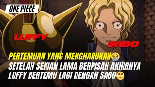 Yakin Gak sedih liat episode ini? luffy bertemu kembali dengan Sabo Tapi tidak dengan Ace😭🥺