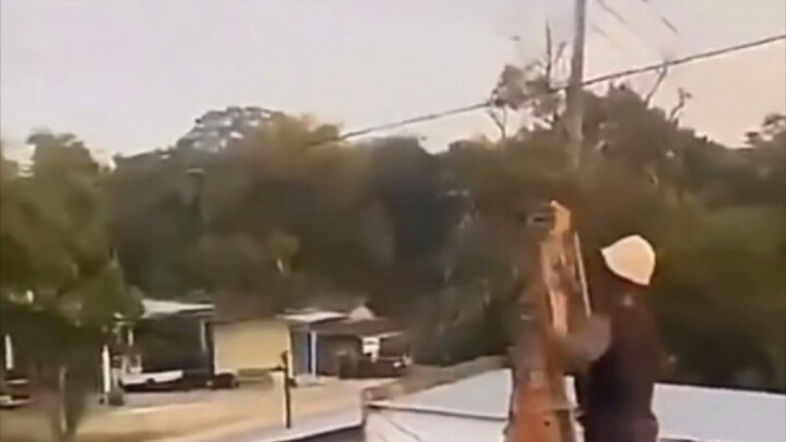 Chặt cây bá đạo quá, cười muốn chết luôn!