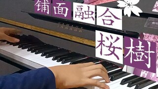 【Phiros×WAVEAT】🌸Mịn màng như hoa anh đào rải rác のBộ sưu tập bài hát piano🌸/Sakura Street (Sakura St