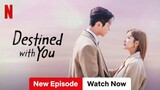 EP 13 Hindi Destined With You 2023