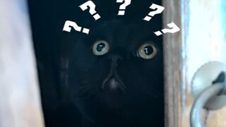 Finally figured out why hide-and-seek is called hide-and-seek...