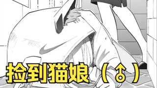 【家有幼猫】家养猫猫伪娘，迟早要变成公公的捏