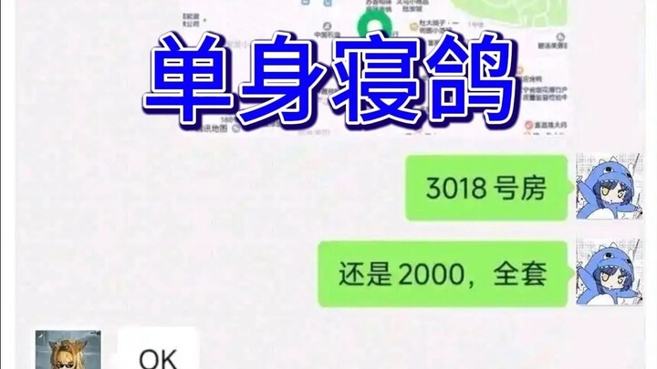 Chim bồ câu kèn đã đạt đến cảnh giới niết bàn đáng kinh ngạc. Độc thân Xi dành tặng một bức thư tình