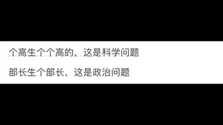 为什么《海贼王》的血统论被批评，而《龙珠》却相反？