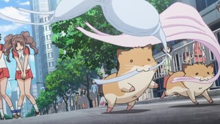 Well done, Hamster!