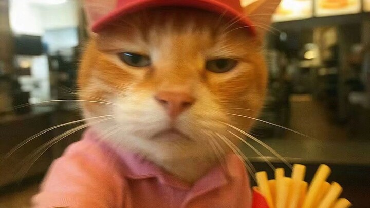 Halo, selamat datang di McDonald’s, dengan senang hati melayani Anda.
