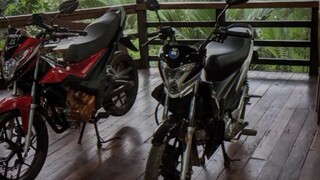Vperman 150 vs Nicess 110