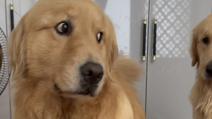 ไม่ว่าจะเป็นสัตว์ชนิดไหน ก็หนีไม่พ้นชะตากรรมถูกแม่ดุทั้งนั้น