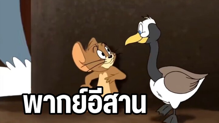 ทอมแอนด์เจอร์รี่พากย์อีสาน ตอน ซ่อยข่อยแน่