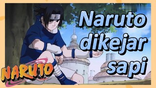 Naruto dikejar sapi