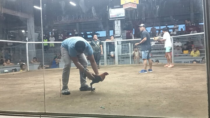 2nd fight LOSS 🥲..sayang alimbuyugin ko ..nakatuka lang kalaban .patay din !