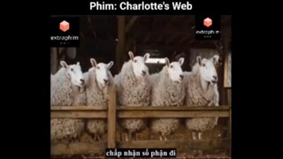 Tóm tắt phim: Charlotte's Web