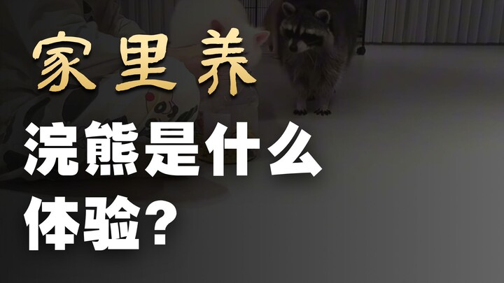 The black cat’s in a pretty bad mood today—he’s been snapping and even bit me till it bled!