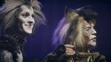 Cats, il Musical al Sistina