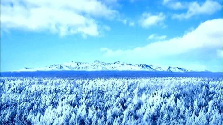 Televisão Central da Coreia (01.04.2026)