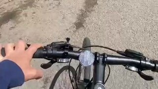 Anh chàng người Anh đạp xe dắt chim đi dạo, con chim này ngoan quá nhỉ