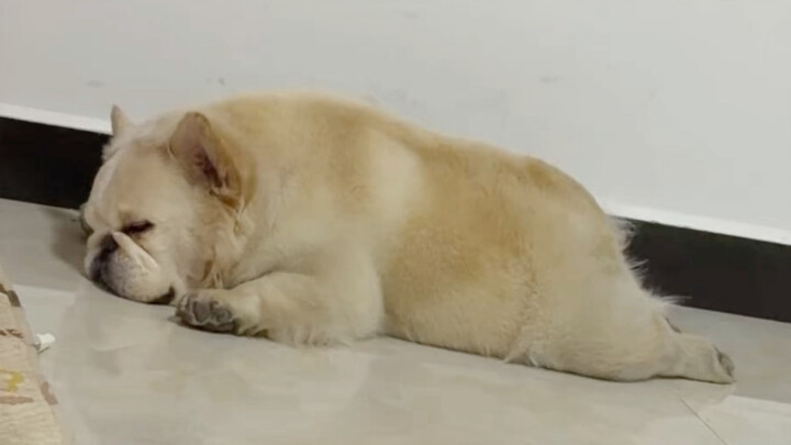 อาจู่จะเชื่อใจคุณตลอดไป