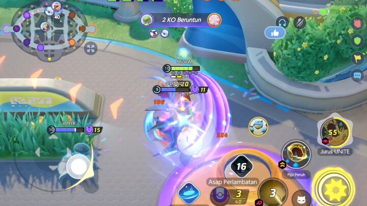 Tupai Bawa Bola Bola 😅