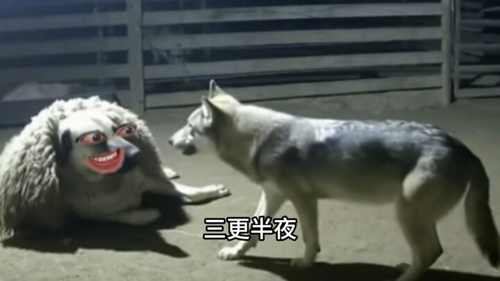 Wolf: I've fallen for the trap!