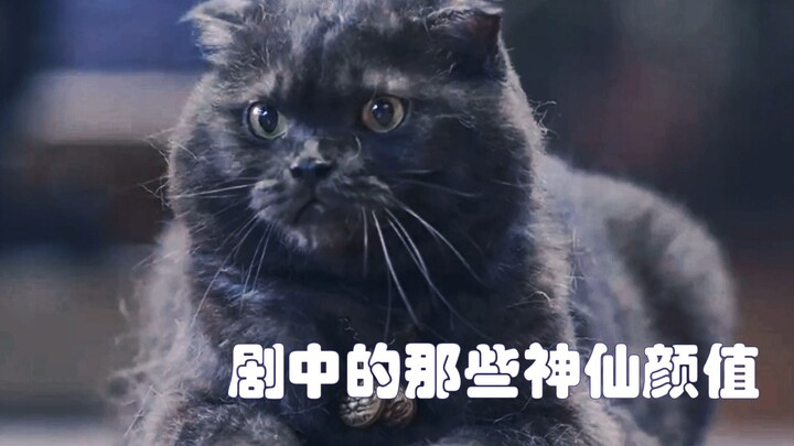 剧中的那些神仙颜值