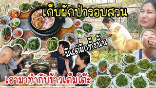 EP.761 เก็บผักป่ารอบบ้านเอามาทำเครื่องเคียง 6 อย่างกินกับหมูย่างเกาหลี อร่อยมากจ้า👍😋👍