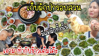 EP.761 เก็บผักป่ารอบบ้านเอามาทำเครื่องเคียง 6 อย่างกินกับหมูย่างเกาหลี อร่อยมากจ้า👍😋👍