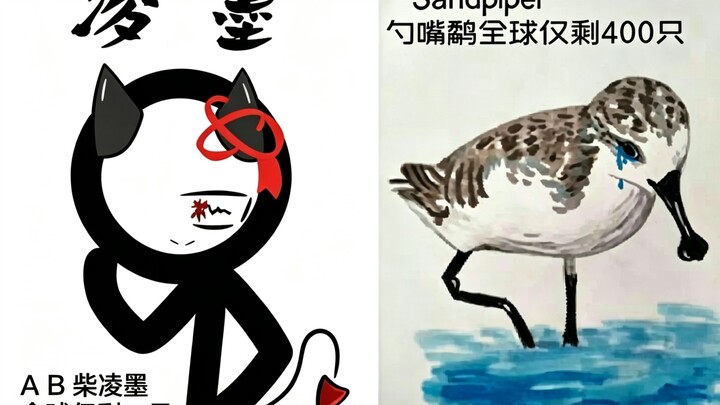 There are only 400 Spoon-billed Sandpipers left in the world. Ab Chai Lingmo: there’s only one left 