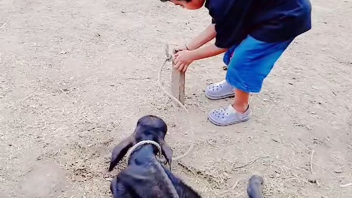 Cute Moments with My Son ❤️ | Pakistan可爱父子时光https://bili.im/javqW48