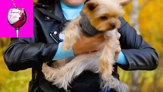 Mẹo Bá đạo phần 4 #Mẹo_vặt_cuộc_sống