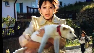 有时候，做狗也挺想报警的！！