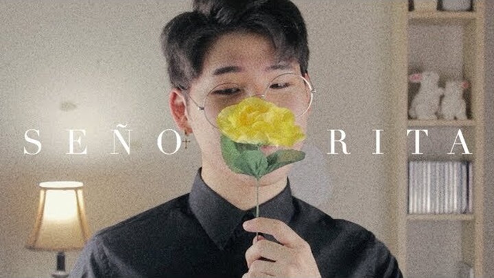 Shawn Mendes & Camila Cabello - Señorita | cover by suggi