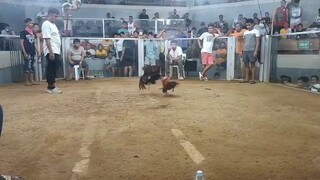 2nd fight win . San Jose Batangas cockpit arena