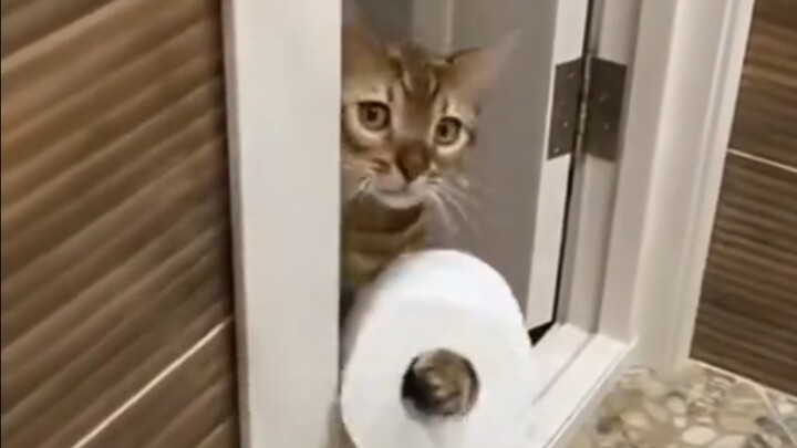 كله من أجل العيش