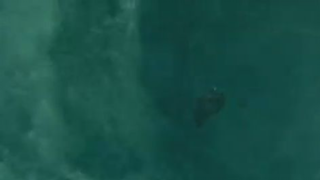 (POTC) Davy Jones  Broken Heart